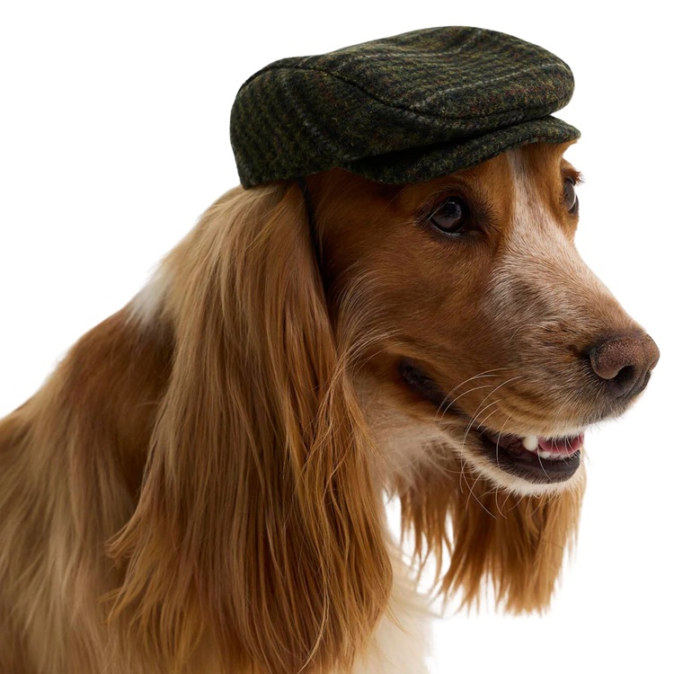 barbour-dog-cap-tweed.jpg