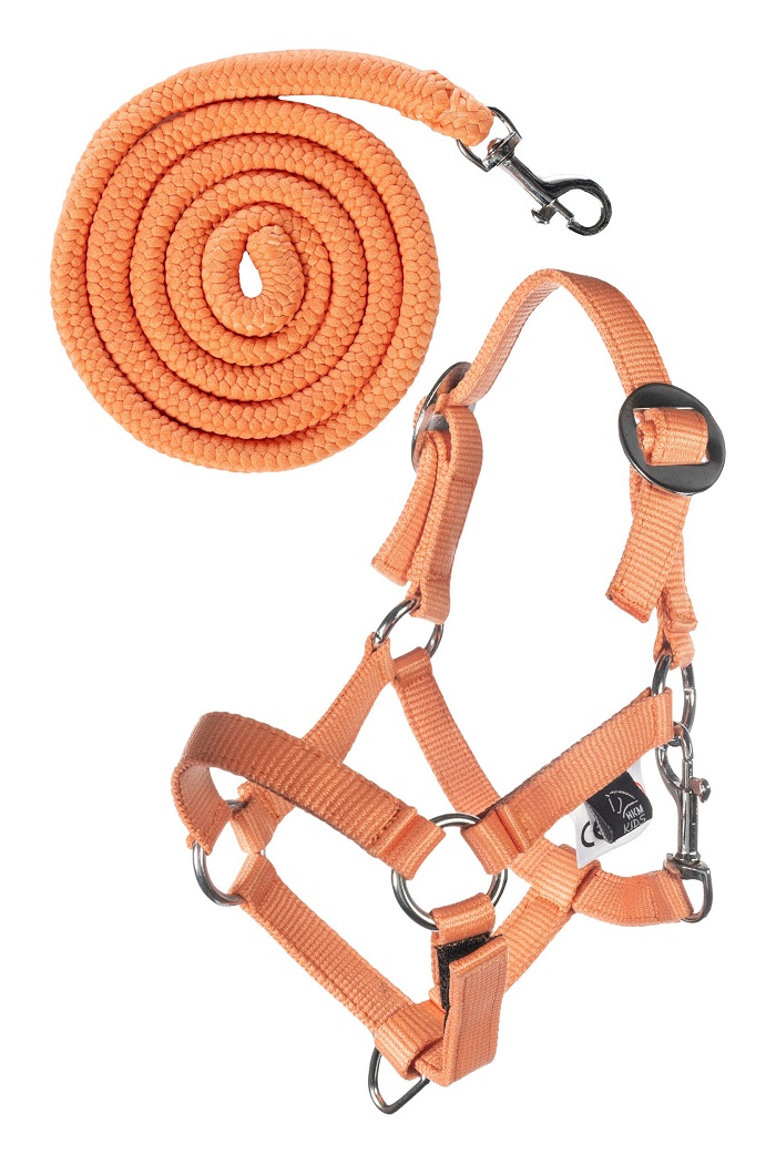 basic-hobby-horse-headcollar-lead-orange.jpg