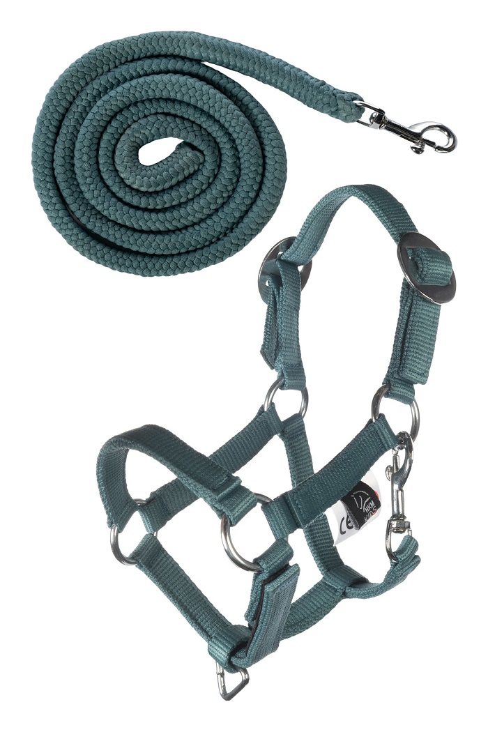 basic-hobby-horse-headcollar-lead-turquois.jpg