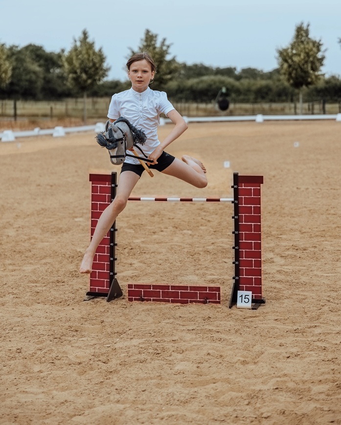 Hobby Horse Brick Wall Show Jump