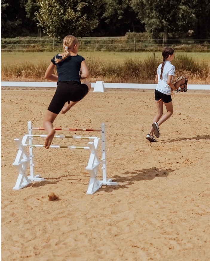 Hobby Horse Cavaletti Jump