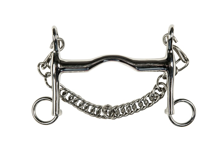 Stainless Steel Curb Bit