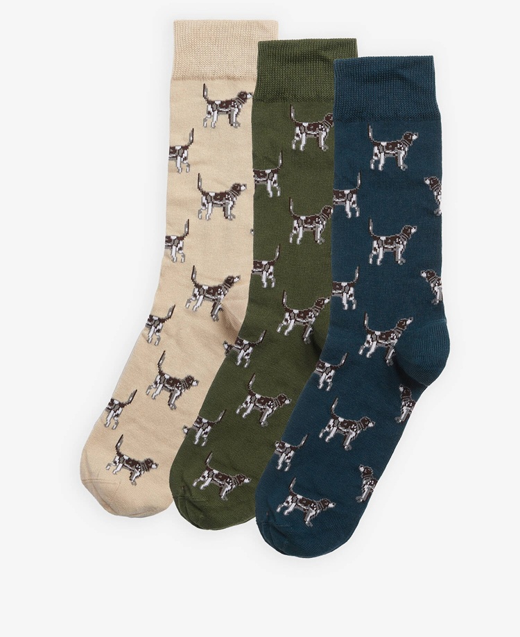 dog-socks-forest.jpg