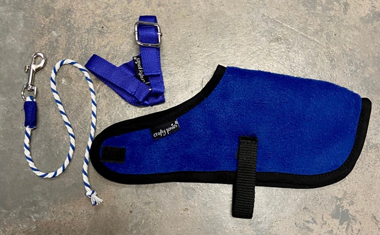 Crafty Pony Foal Rug Set