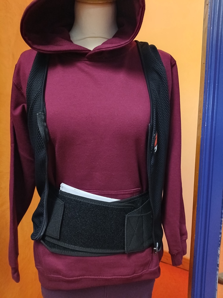 Zandona Adult Esatech System Back Protector 