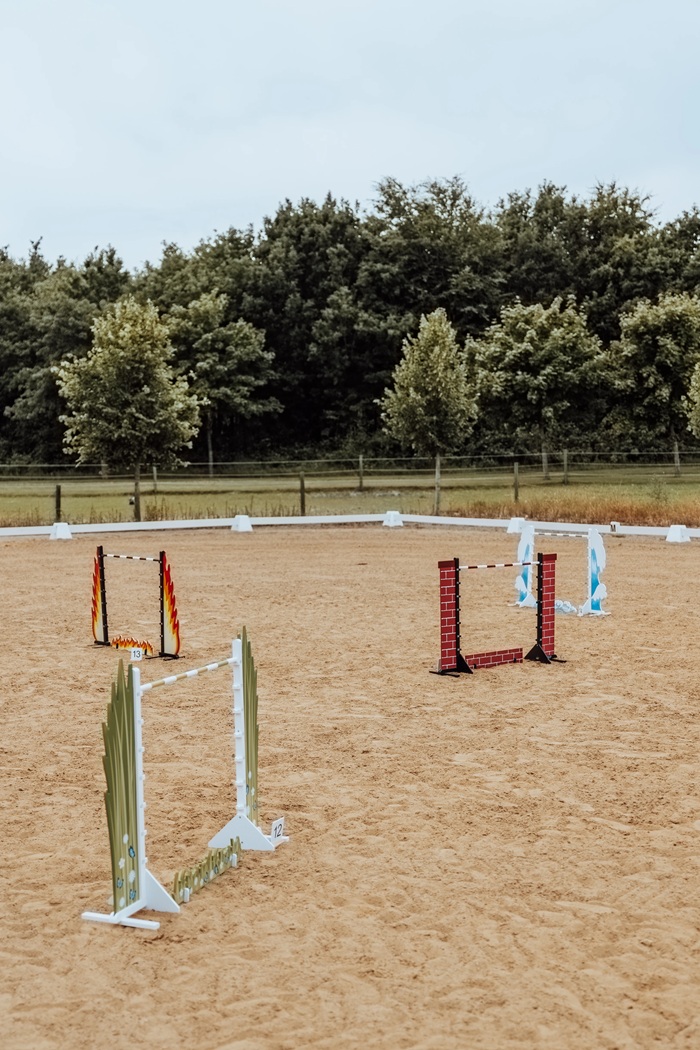 Hobby Horse Flames Show Jump