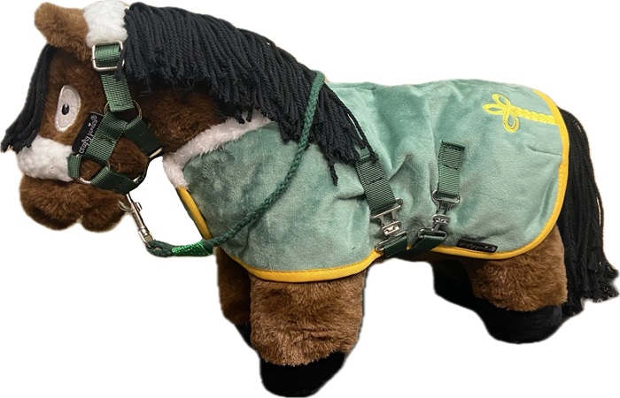 Crafty Ponies Deluxe Show Rug Set