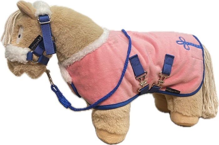 Crafty Ponies Deluxe Show Rug Set