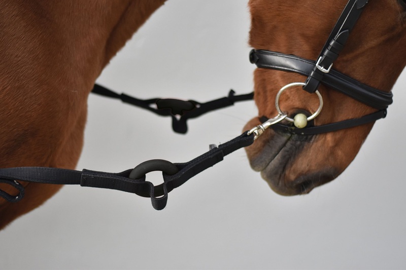 nylon-side-reins-with-rubber-rings.jpg