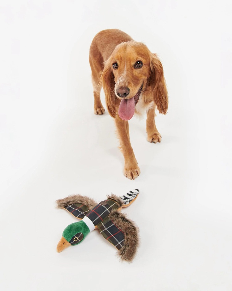 Barbour Pheasant Dog Toy