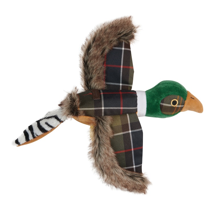 pheasant.jpg