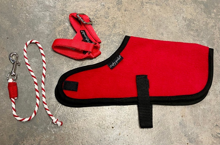 Crafty Pony Foal Rug Set