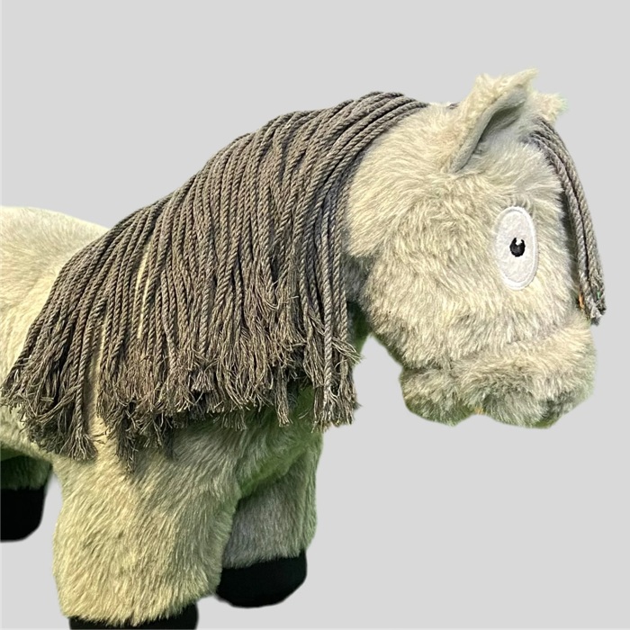 roan-grey-pony.jpg