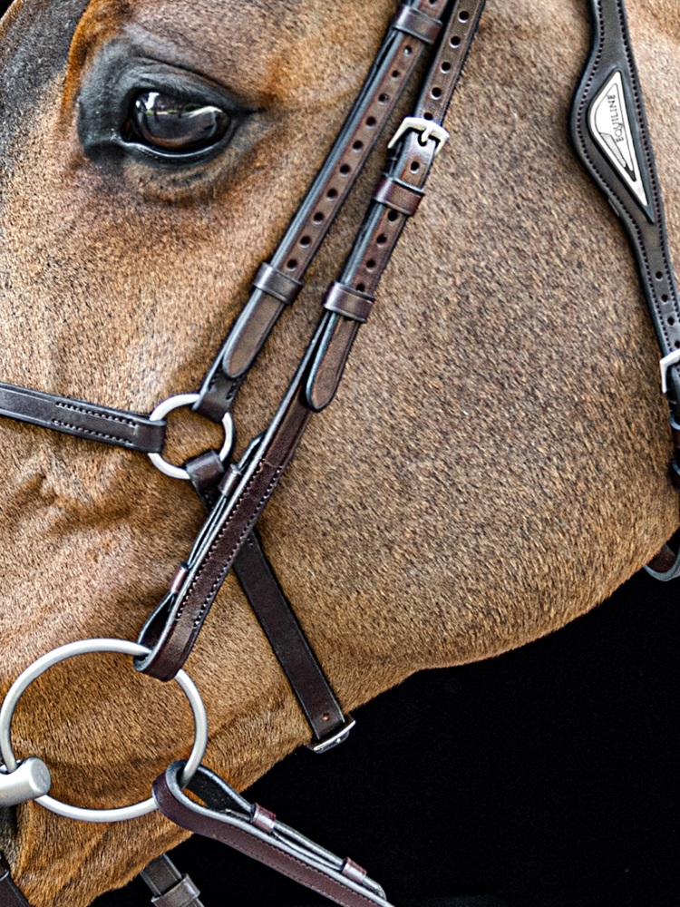 Equiline Cheeckpieces