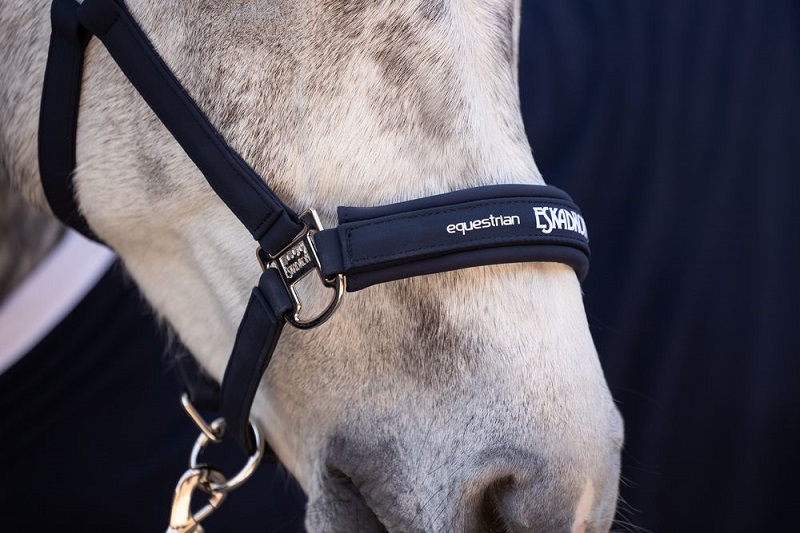 Eskadron Double Pin Buckle Softshell Navy